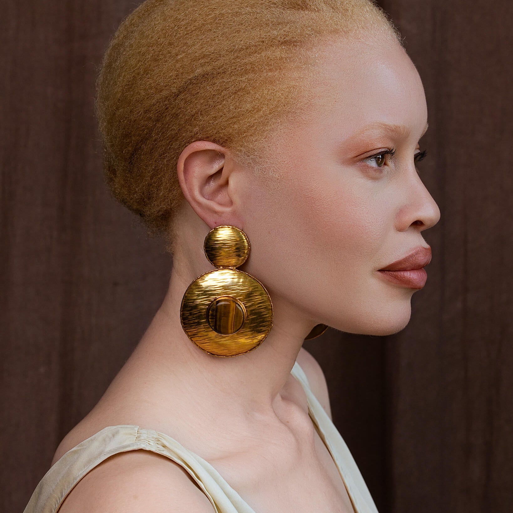 Noemi Earrings - Tigers Eye