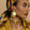 Image de diapositive