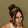 Image de diapositive
