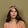 Image de diapositive